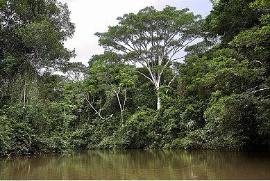 《柴油遗产：无耻时代》公布全新美艳歌姬角色